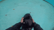 a person is petting a seal in the water .