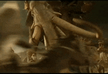 a group of people are riding on the back of a giant elephant with huge tusks .