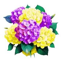 a bunch of yellow and purple flowers with the time 17:16