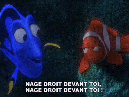 Dory Nage Droit Devant Toi GIF - Dory Nage Droit Devant Toi Le Monde De  Nemo - Discover & Share GIFs