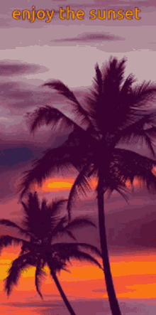 Dhivehi Sunset GIF - Dhivehi Sunset Baglioni GIFs