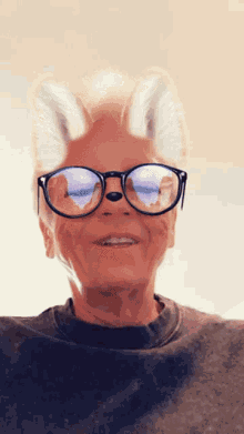 Snapchat Glasses GIF - Snapchat Glasses Ears GIFs