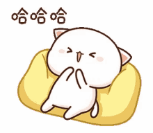 mochi cat