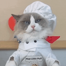 Cat Licking Puff GIF - Cat Licking Puff Meow Chef GIFs