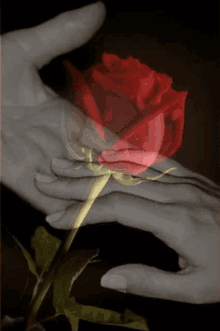 I Love You Touch My Hand GIF - I Love You Touch My Hand Hold My Hand GIFs