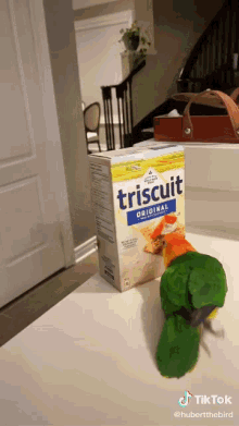 Triscuit Parrot GIF - Triscuit Parrot GIFs