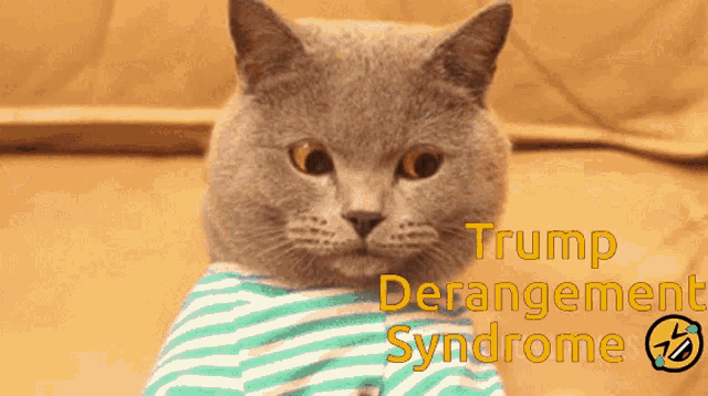 trump-hater-triggered-snowflake.png