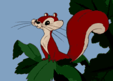 Lunch Squirrel GIF - Lunch Squirrel Hungry GIFs