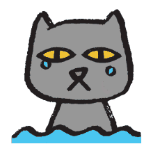 crying cat cry me a river gaiathegraycat sad