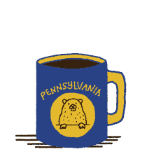 cwpennsylvania pa election pennsylvania mug vote2022 election