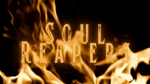 Soul Reaper 311 GIF - Soul Reaper 311 Discord GIFs