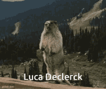 Luca Declerck GIF - Luca Declerck GIFs
