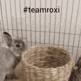 a rabbit in a cage with the hashtag #teamroxi on it