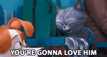 Youre Gonna Love Him Love GIF - Youre Gonna Love Him Love Explaining GIFs