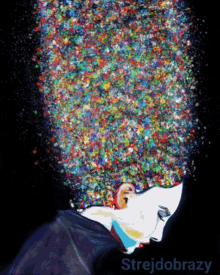 zoetropic art hair colorful strejdobrazy