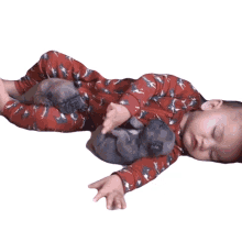 yawn the pet collective baby sleep sleeping with puppy puppies