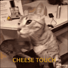 Cheese Touch GIF