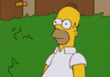 Homerhedge Homer Simpson GIF - Homerhedge Homer Simpson No Way Out GIFs