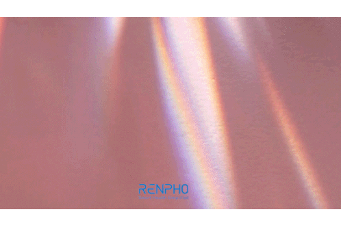 New Year 2024 Renpho Sticker - New Year 2024 Renpho Health Stickers
