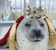 a seal with a crown on its head .