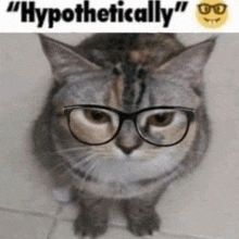 a cat wearing glasses with the words hypothetically below it