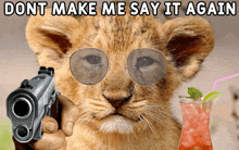 a lion wearing sunglasses is pointing a gun at someone with the words " dont make me say it again " above it