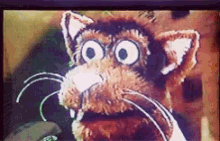 the office puppet cat shocked shock