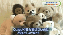 Hehe GIF - Dog Stuffed Toys GIFs