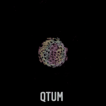 Qtum GIF - Qtum GIFs