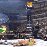 a doge mascot is standing on a ladder in a wrestling ring .