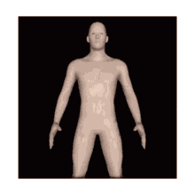 human going out animation human model