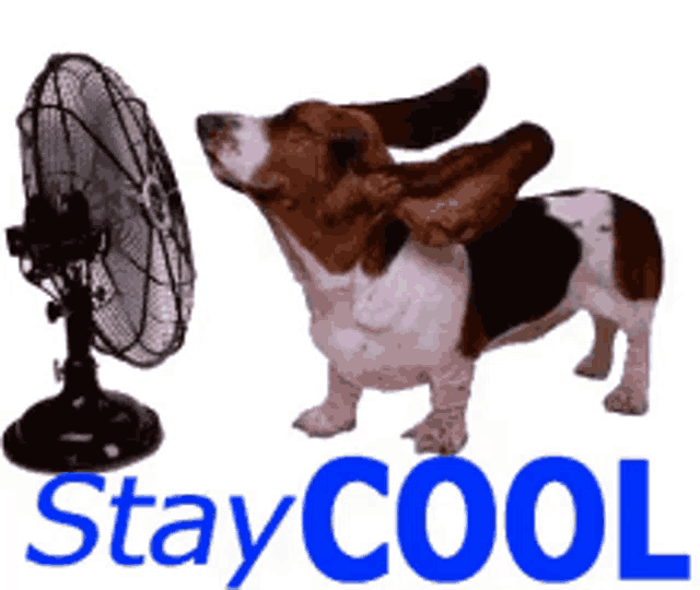 Stay Cool Cooler Sticker