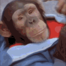 Monke Monkey GIF - Monke Monkey Vibe GIFs