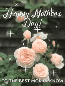 a happy mother 's day greeting card with roses and the words `` to the best moms i know ''