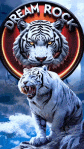 a white tiger is standing in front of a dream rock logo