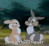 Thumper Love You GIF