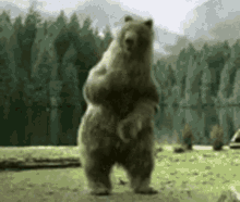 Happy Bear GIF - Happy Bear Dancing GIFs