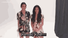 Kendall Jenner Kylie Jenner GIF - Kendall Jenner Kylie Jenner Sisters GIFs