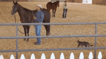 Tag! You'Re It! GIF - Cat Horse Surprise GIFs