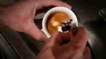 Peet'S GIF - Coffee Cream Espresso GIFs