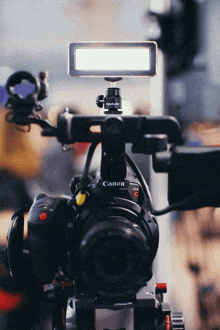 Cameraman GIF - Cameraman GIFs