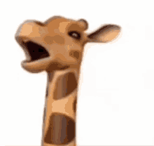Giraffe Moans GIF - Giraffe Moans GIFs
