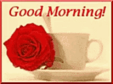 Good Morning Cup Of Coffee GIF - Good Morning Cup Of Coffee Rose GIFs