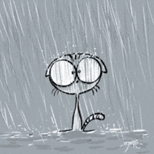 pouring rain storm cat cute