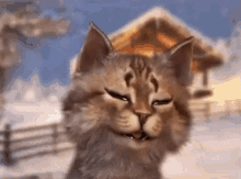 Meow Gravycatman GIF - Meow Gravycatman Cat GIFs