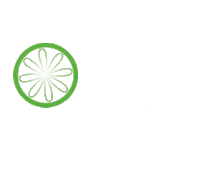 a green circle with a flower in the center on a white background