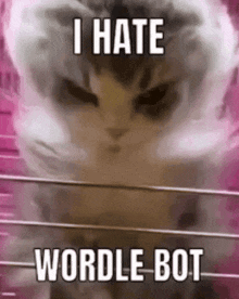 a cat with a smoke coming out of its mouth and the words `` i hate wordle bot '' .