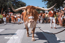 Hook Em Horns Texas Longhorns GIF