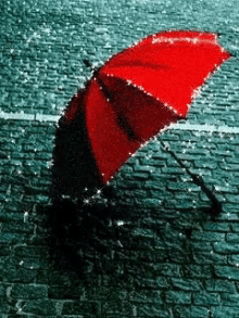 Raindrops Red GIF - Raindrops Red Umbrella GIFs