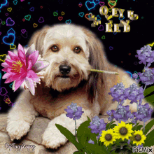 Love You Friend Dog GIF - Love You Friend Dog Hearts GIFs